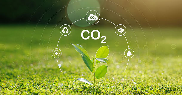 Environment